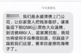 湘潭为什么选择专业追讨公司来处理您的债务纠纷？